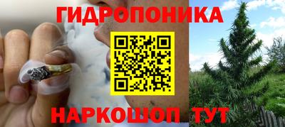 a pvp Сланцы