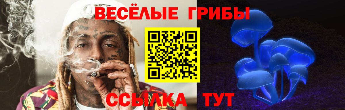 Псилоцибиновые грибы MAGIC MUSHROOMS Осинники
