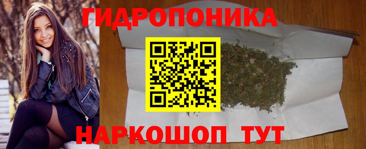 Конопля White Widow  Вход с VPN  Бошки Шишки план  Осинники  Каннабис SATIVA & INDICA 